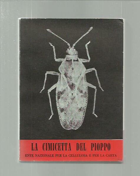 La cimicetta del pioppo (I nemici del pioppo 5)