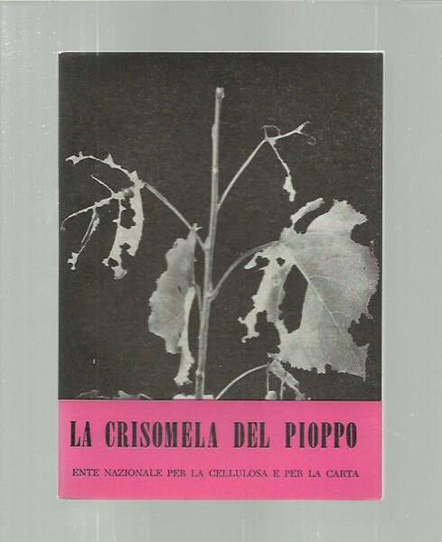 La crisomela del pioppo (I nemici del pioppo 2)