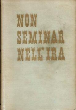 Non seminar nell'ira