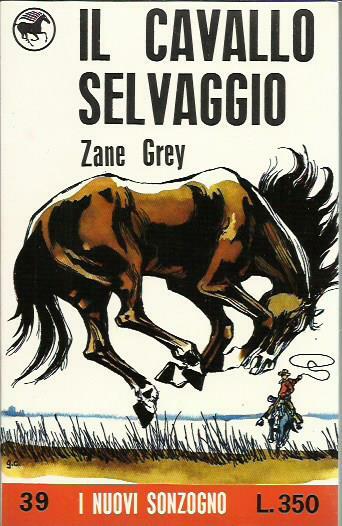 Il cavallo selvaggio