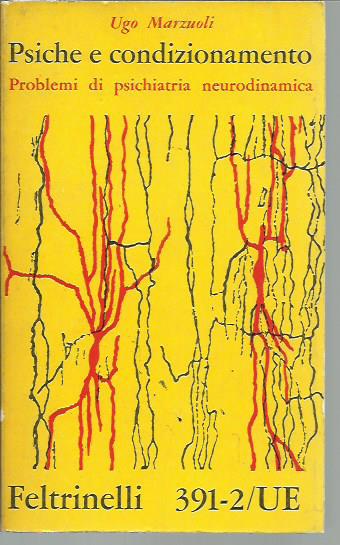 Psiche e condizionamento. Problemi di psichiatria neurodinamica.