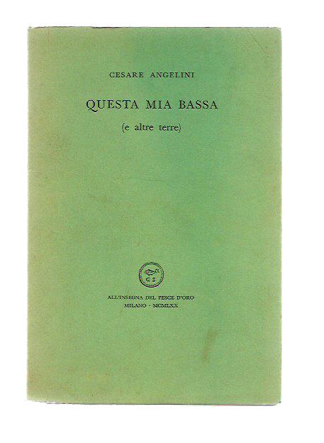 Questa mia bassa (e altre terre)