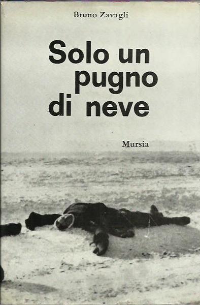 Solo un pugno di neve