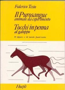 Coniglicoltura pratica