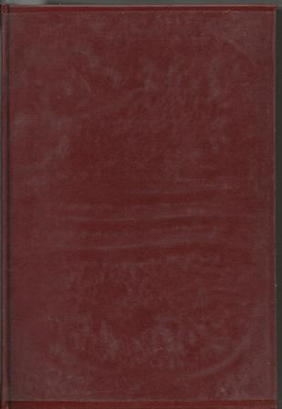 Repubblica probabile (La)