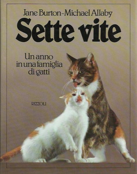 Sette vite