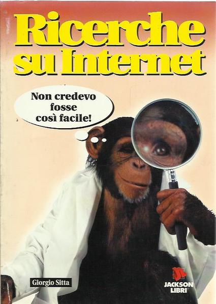 Ricerche su Internet