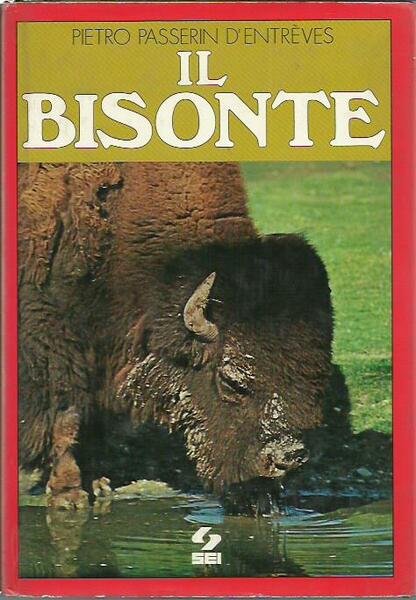 Il bisonte