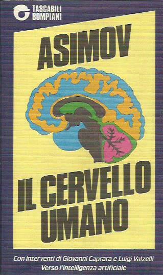 Il cervello umano