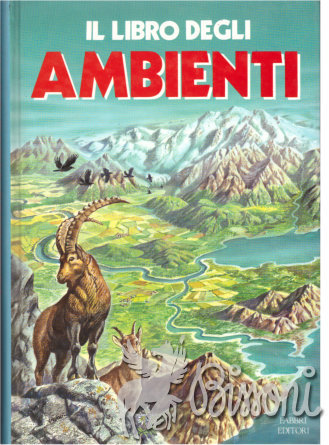 IL LIBRO DEGLI AMBIENTI