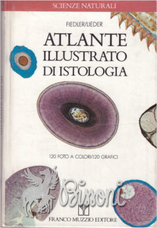 ATLANTE ILLUSTRATO DI ISTOLOGIA 120 FOTO A COLORI / 120 …