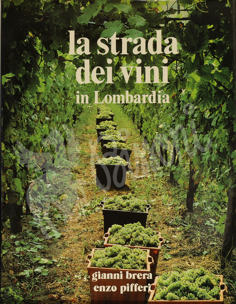 LA STRADA DEI VINI IN LOMBARDIA