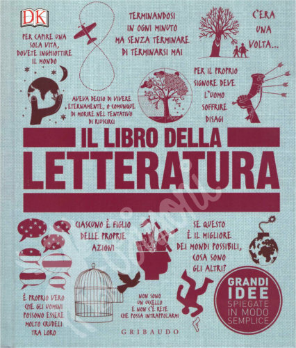 IL LIBRO DELLA LETTERATURA