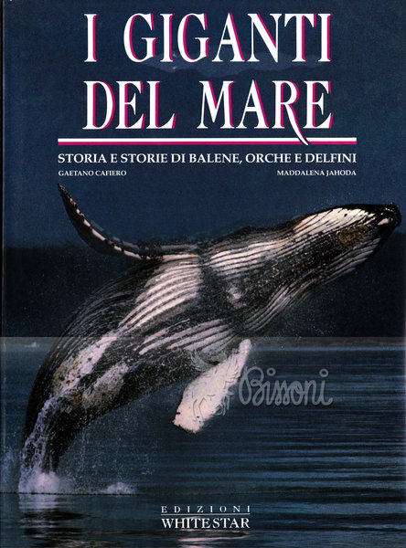 I GIGANTI DEL MARE - STORIA E STORIE DI BALENE, …