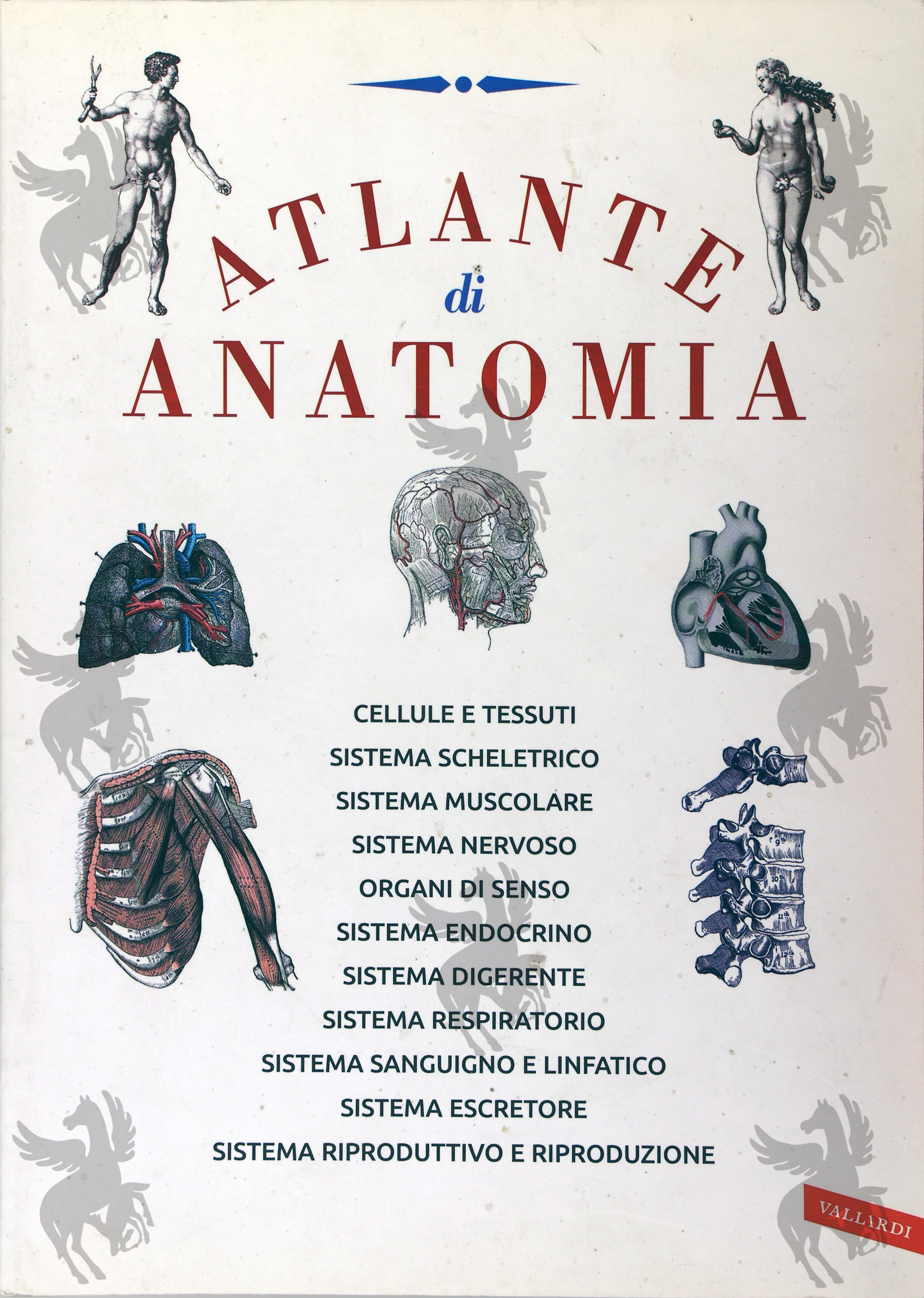 ATLANTE DI ANATOMIA