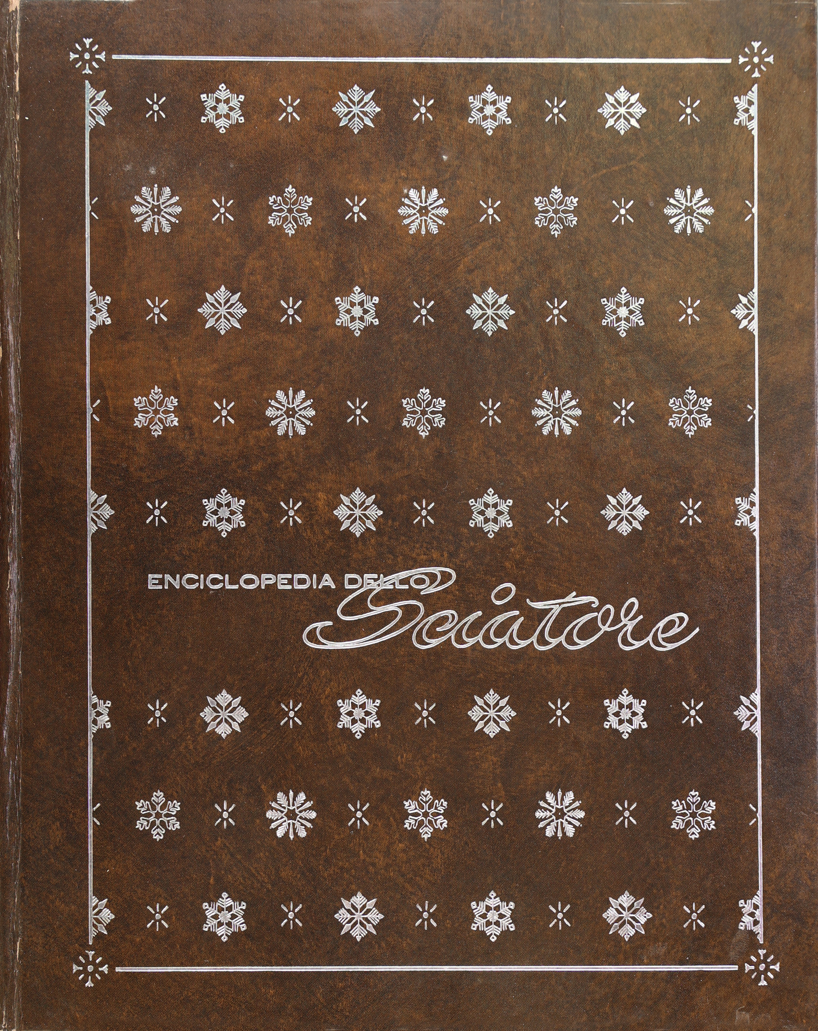 ENCICLOPEDIA DELLO SCIIATORE VOL.1