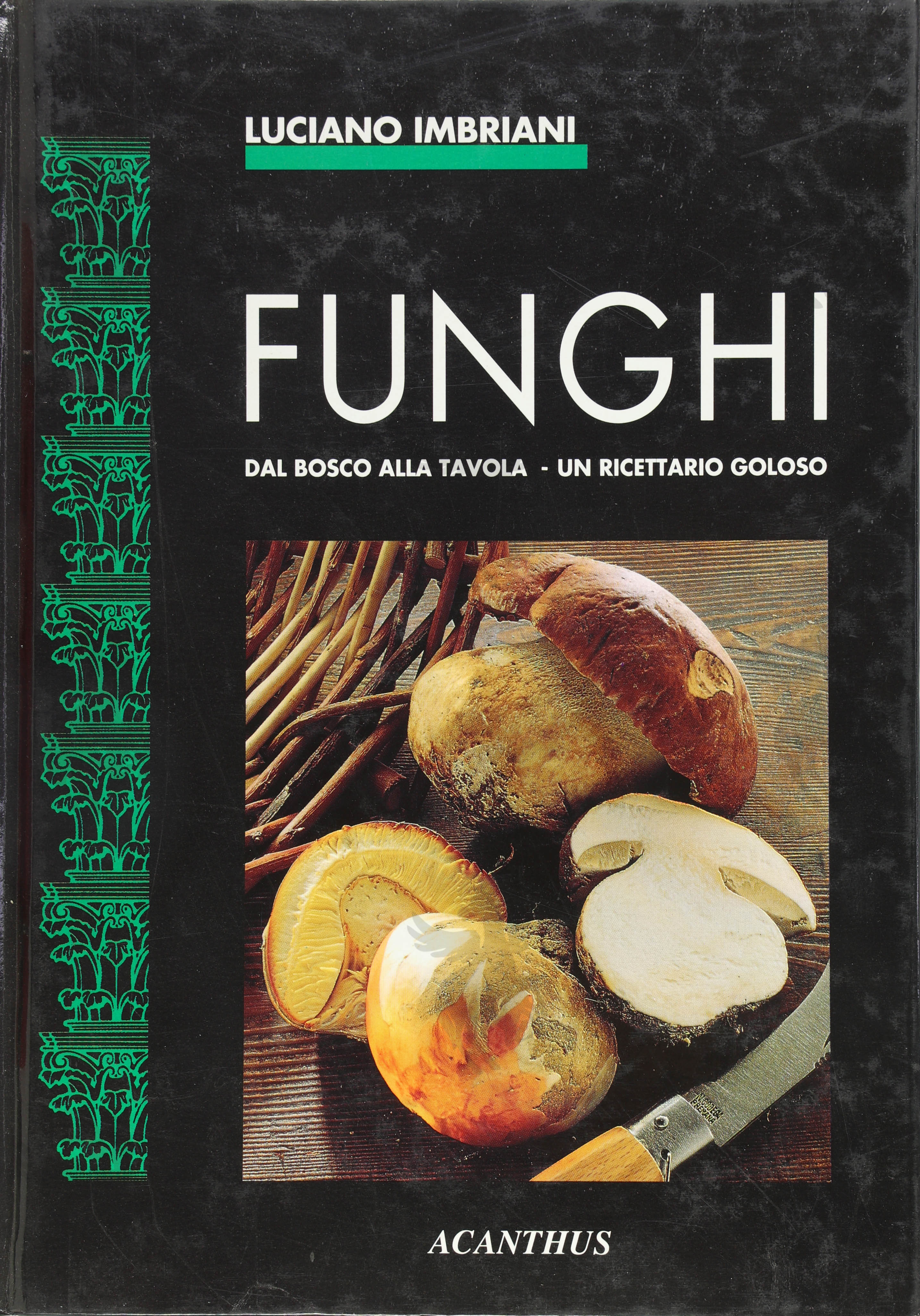 FUNGHI