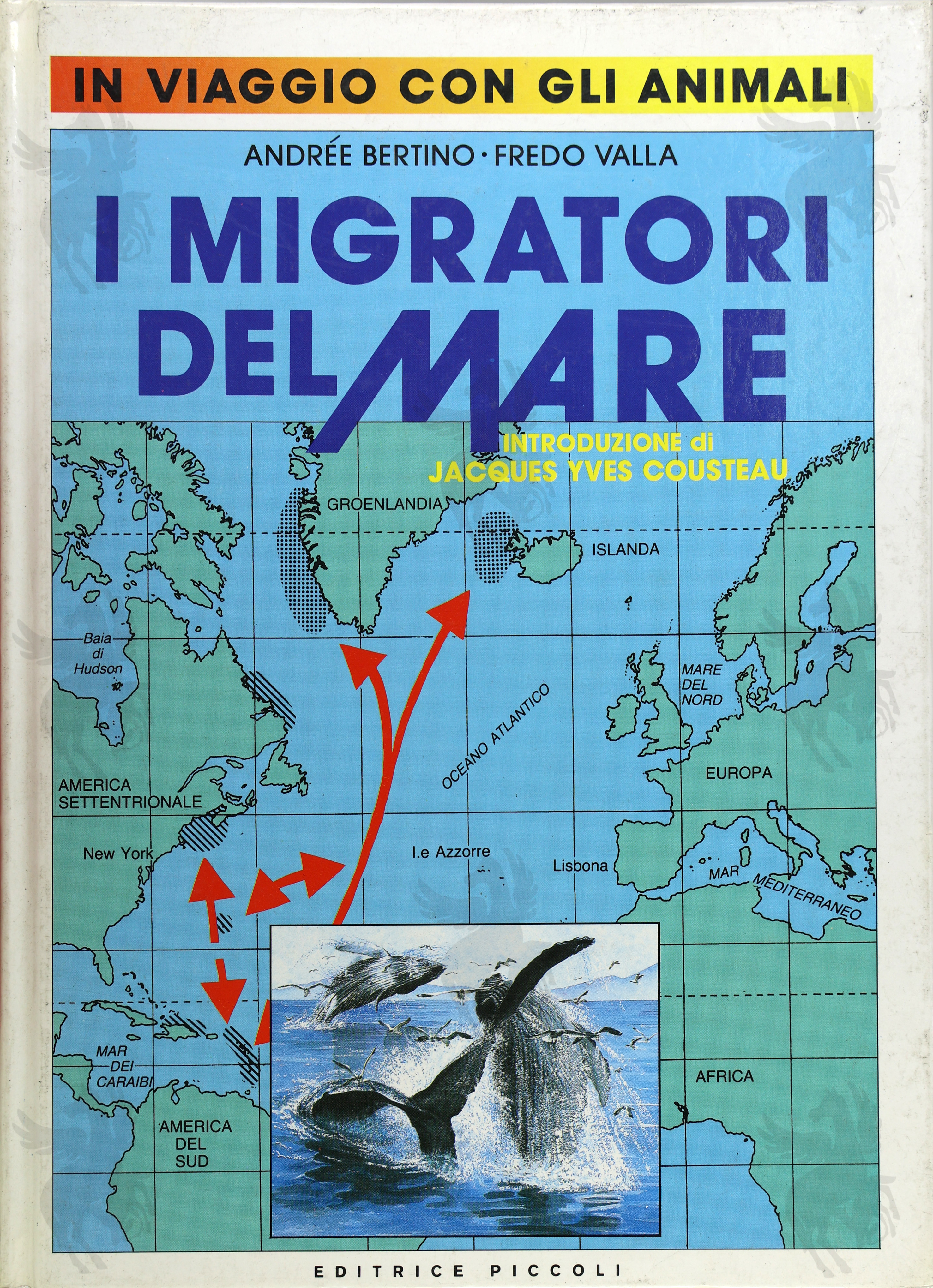 I MIGRATORI DEL MARE