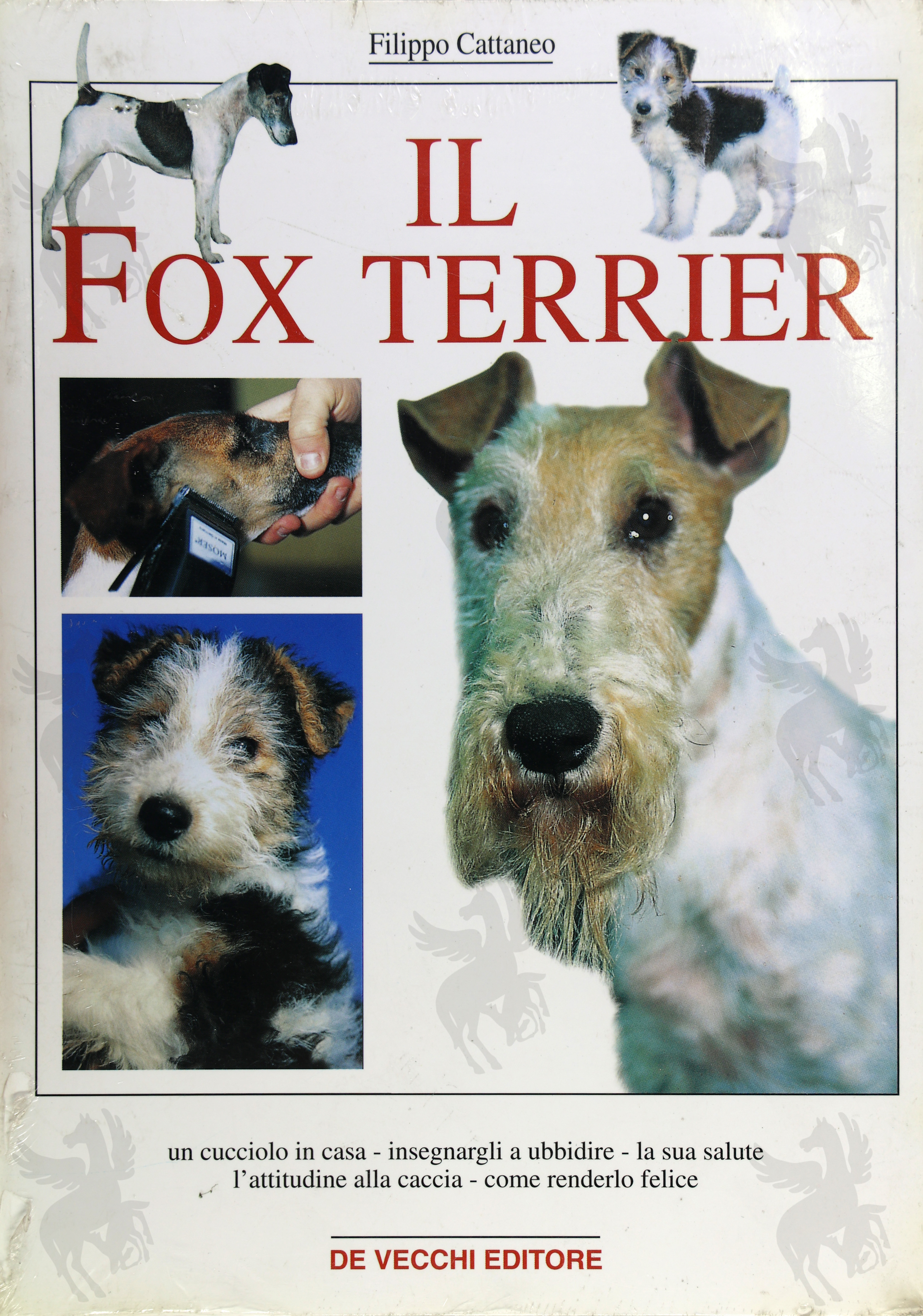 IL FOX TERRIER