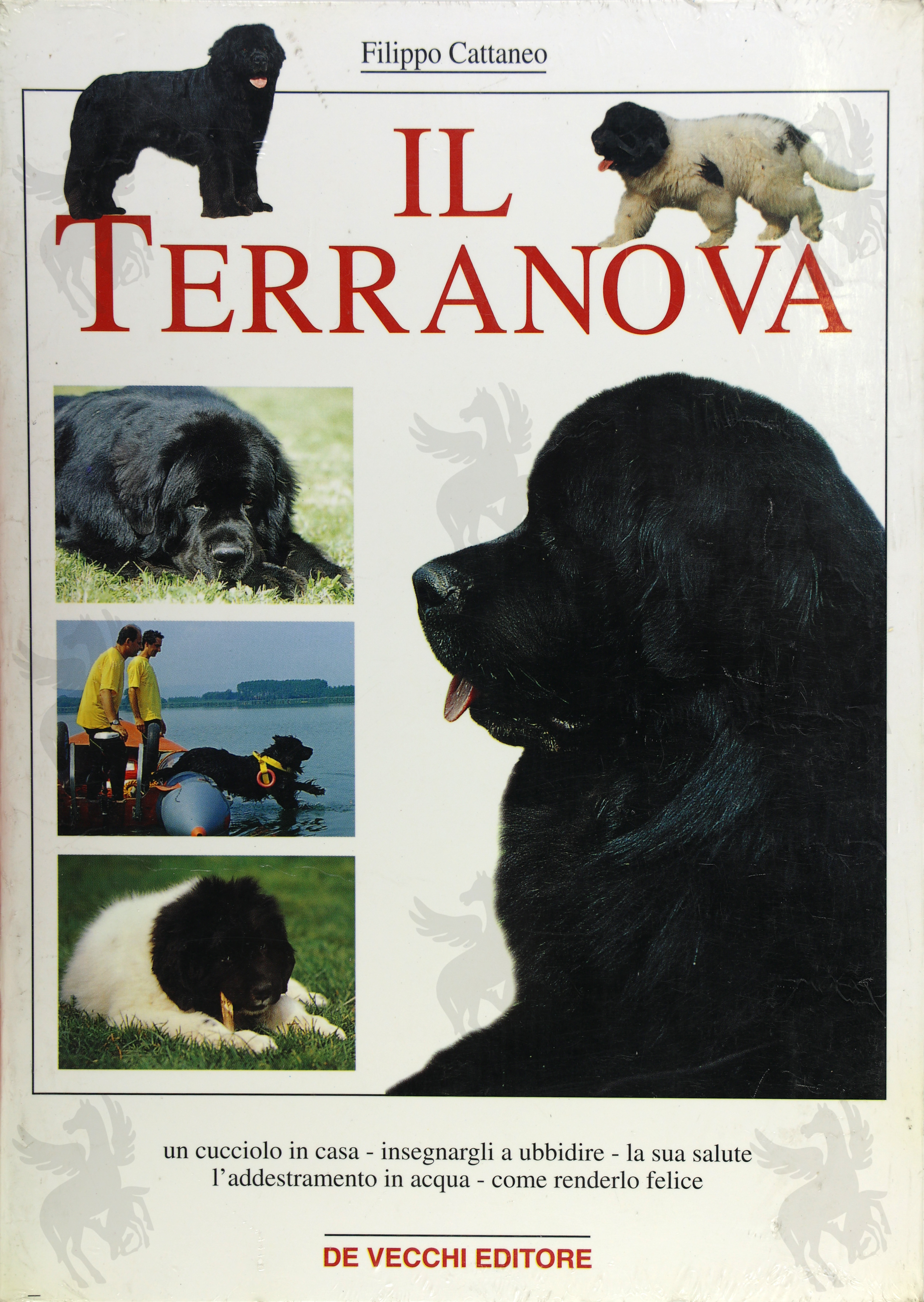 IL TERRANOVA