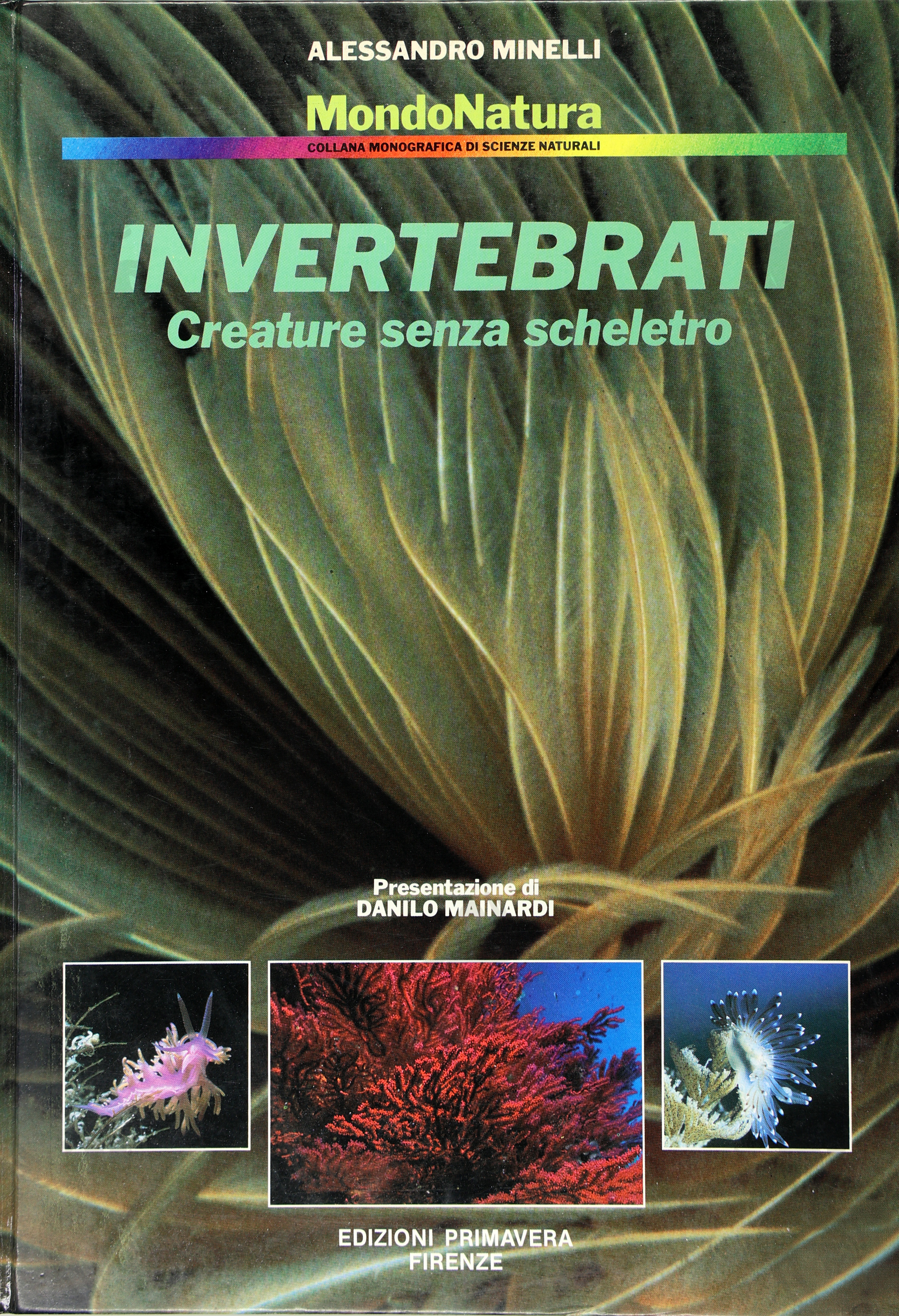 INVERTEBRATI - CREATURE SENZA SCHELETRO