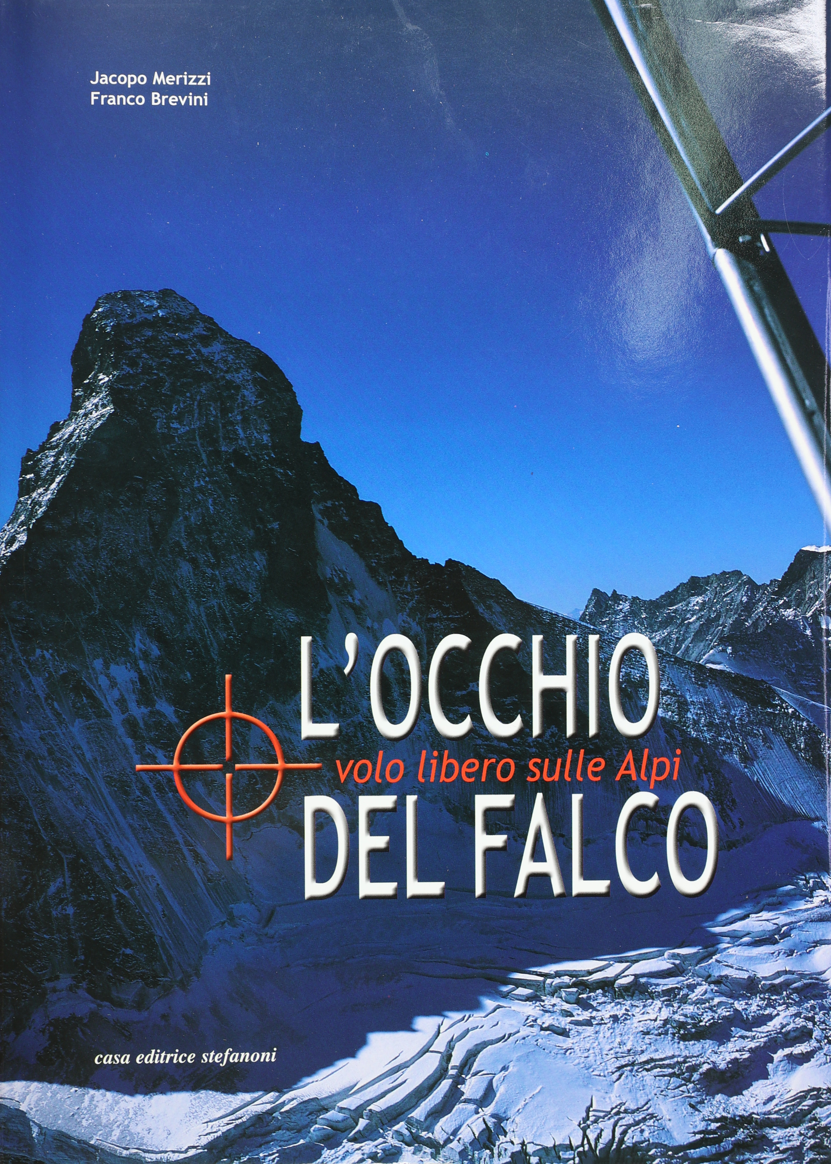 L'OCCHIO DEL FALCO VOLO LIBERO SULLE ALPI