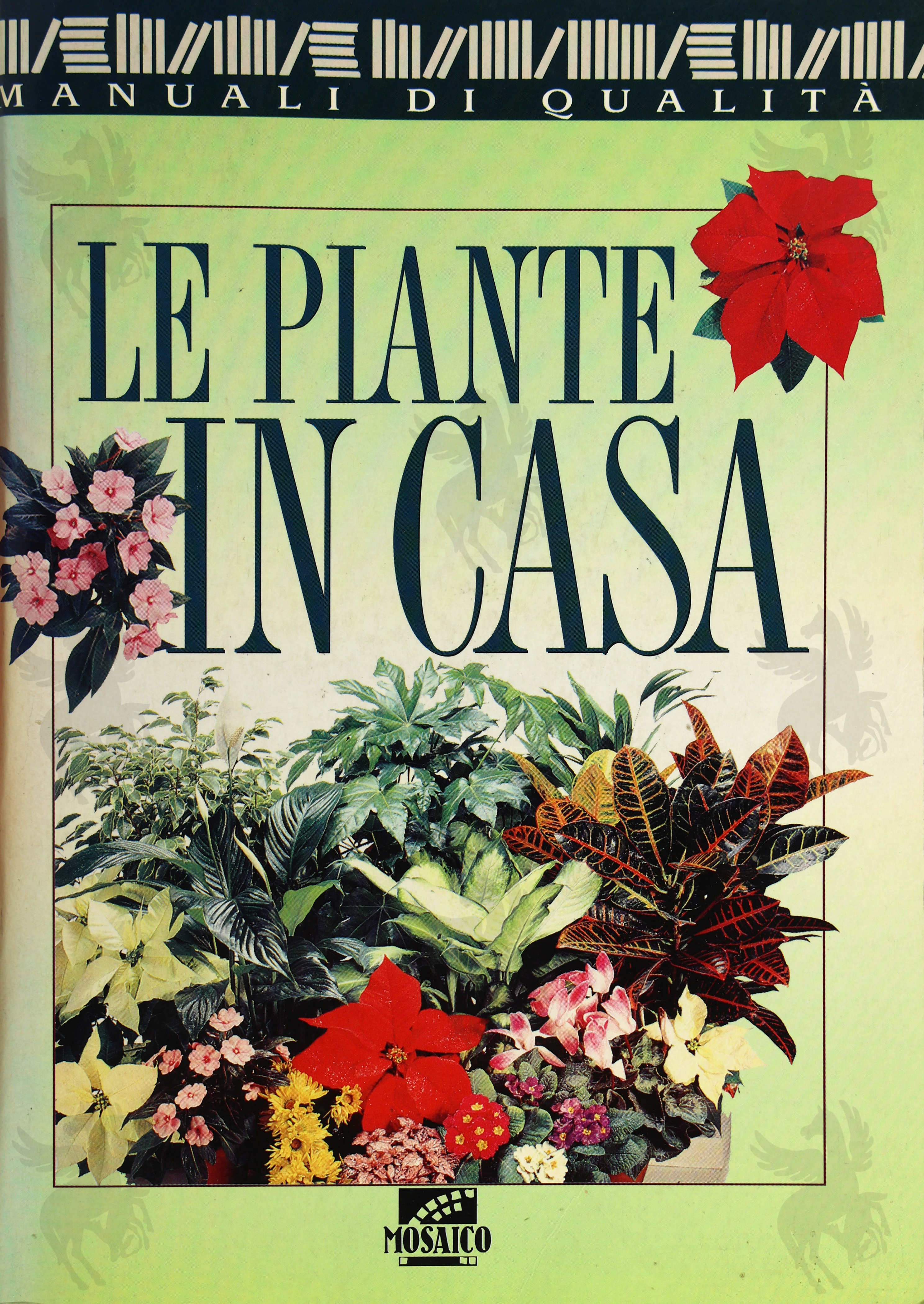 LE PIANTE IN CASA