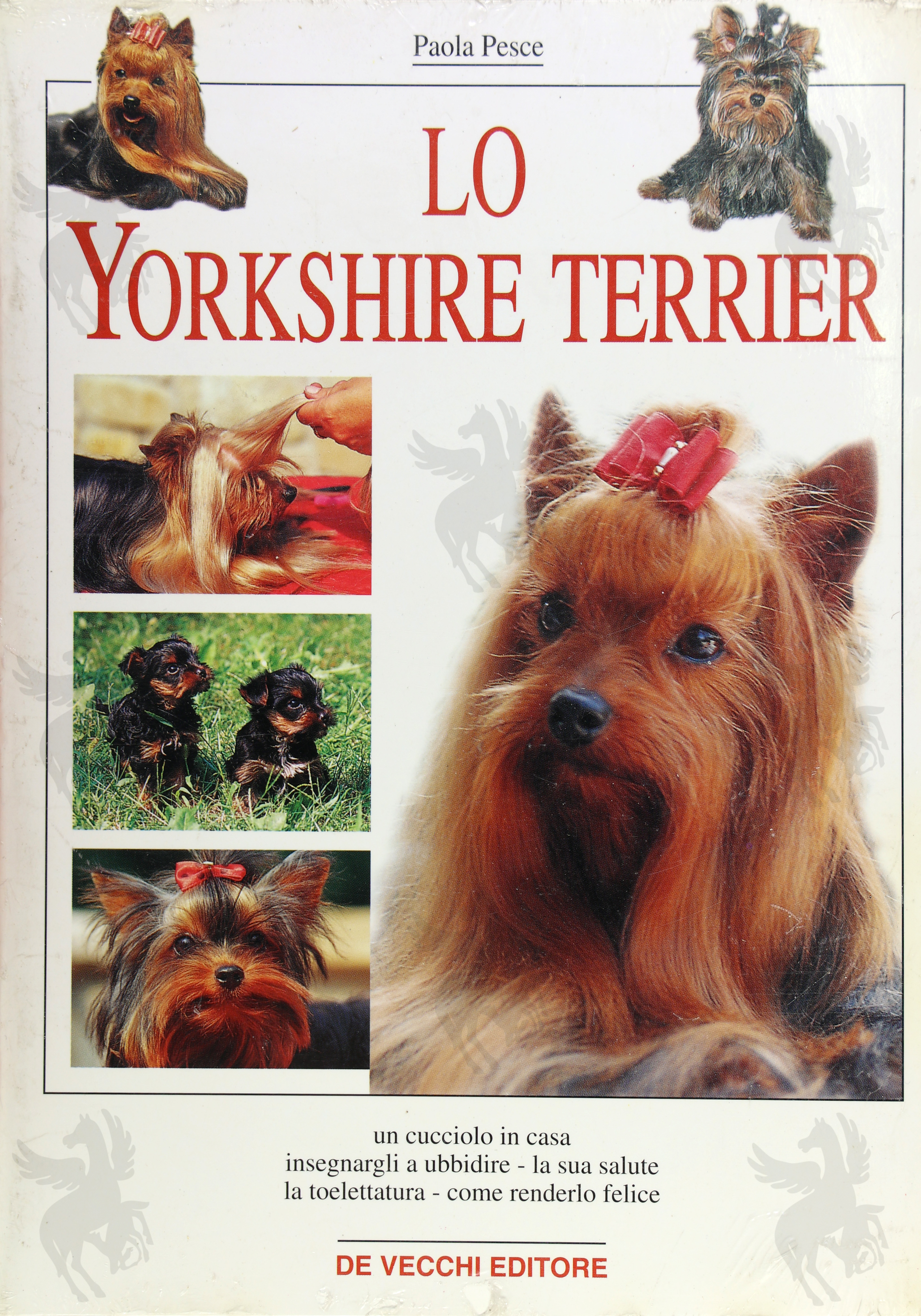 LOO YORKSHIRE TERRIER