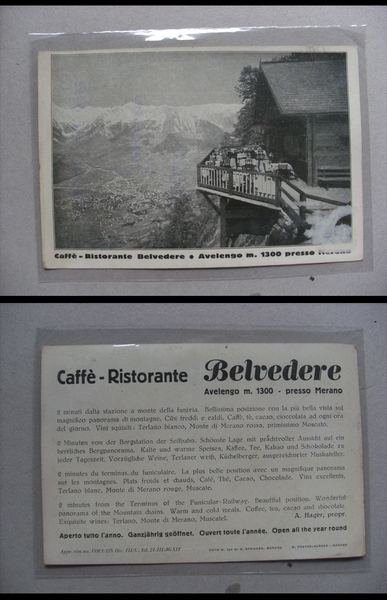 Cartolina / postcard Caffè - Ristorante Belvedere. Avelengo presso MERANO