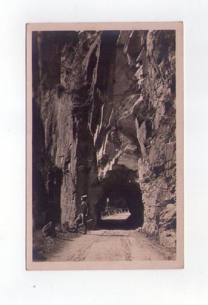 Cartolina / postcard Sulla Strada di Val d´Ega. Dolomiti.