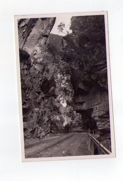 Cartolina / postcard Val d´Ega. Foto Wessermann - Merano N.278