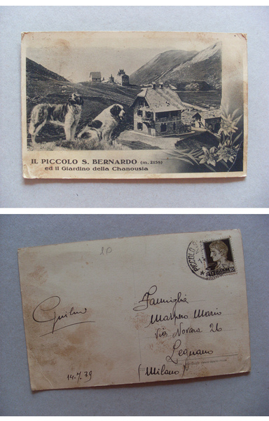 Cartolina / postcard Il Piccolo San Bernardo ed il Giardino …