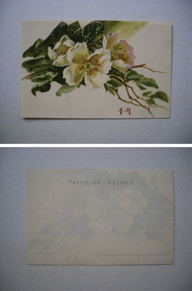 Cartolina dipinta a olio su carta plastificata. Primi'900 (fiori,magnolia,cisto)