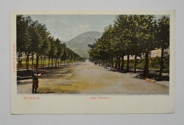 Cartolina / postcard SPEZIA - Viale Umberto I.