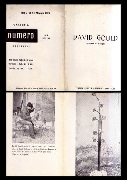 Brochure mostra 153° DAVID GOULD sculture e disegni. Galleria NUMERO …