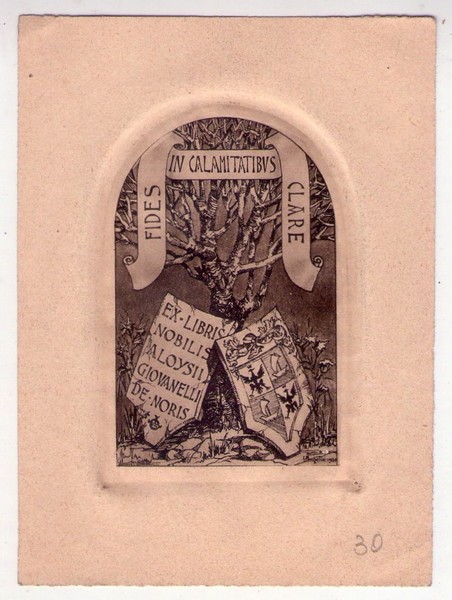 Ex Libris Luigi Angelini 1934. Nobilis Aloysii Giovanelli De Noris