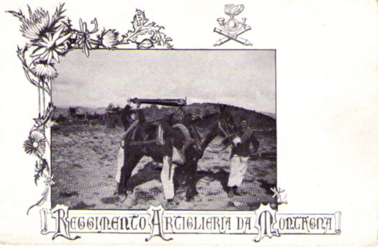 Cartolina Militare Reggimento Artiglieria da Montagna (Esercito Italiano) Prima Guerra …