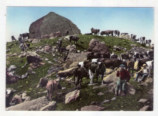 Cartolina/postcard Alla Valle Brembana - Zona di Roncobello - Baite …
