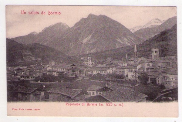 Cartolina/postcard Un saluto da Bormio (Sondrio) - Panorama di Bormio