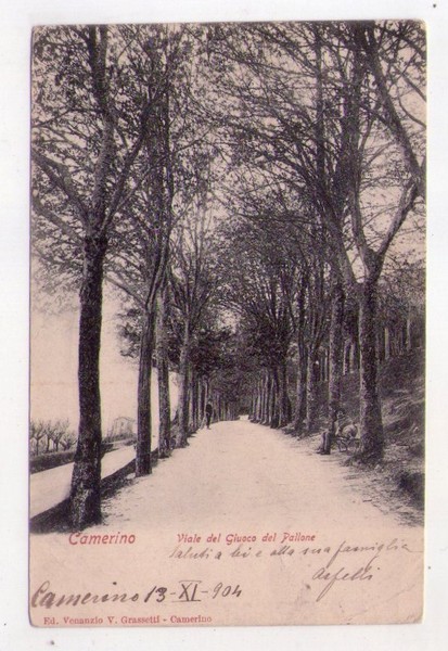 Cartolina/postcard Camerino (Macerata) - Viale del Giuoco del Pallone. 1904