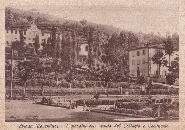 Cartolina Strada (Casentini - Arezzo) - I giardini con veduta …