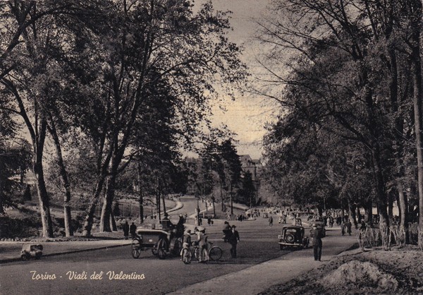 Cartolina Torino - Viali del Valentino. 1952