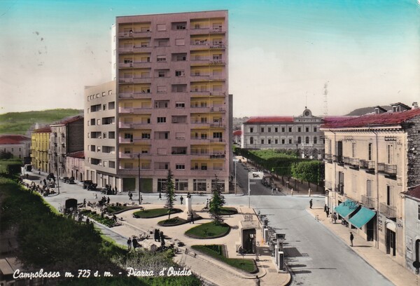 Cartolina Campobasso - Piazza d'Ovidio. 1960