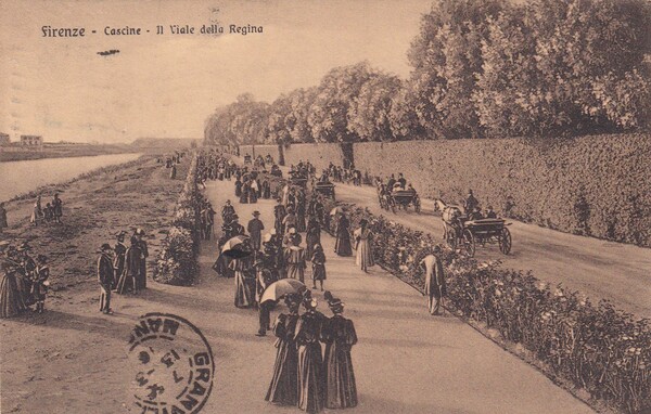 Cartolina Firenze. Cascine - Il Viale della Regina. 1916