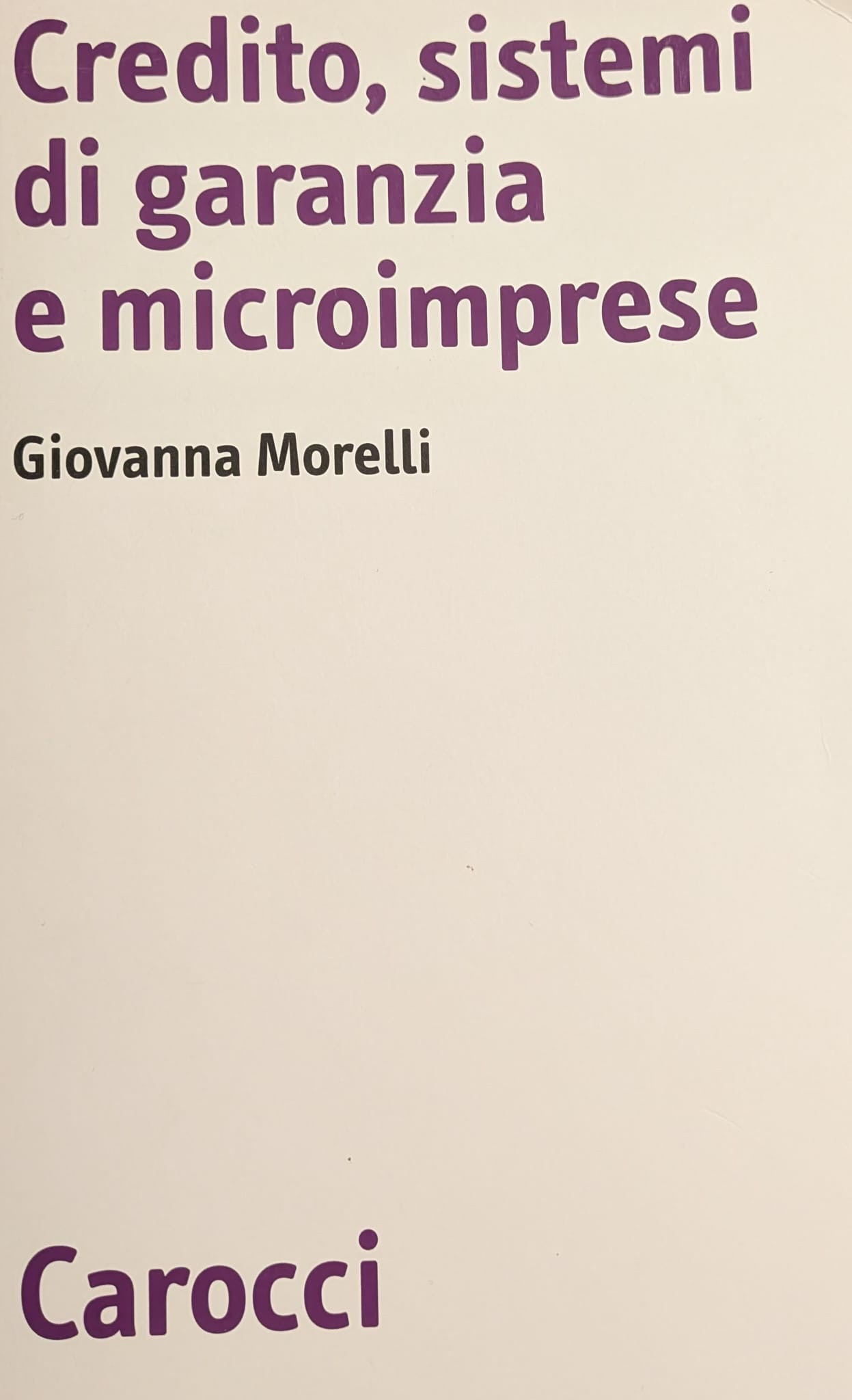 Credito, sistemi di garanzia e microimprese