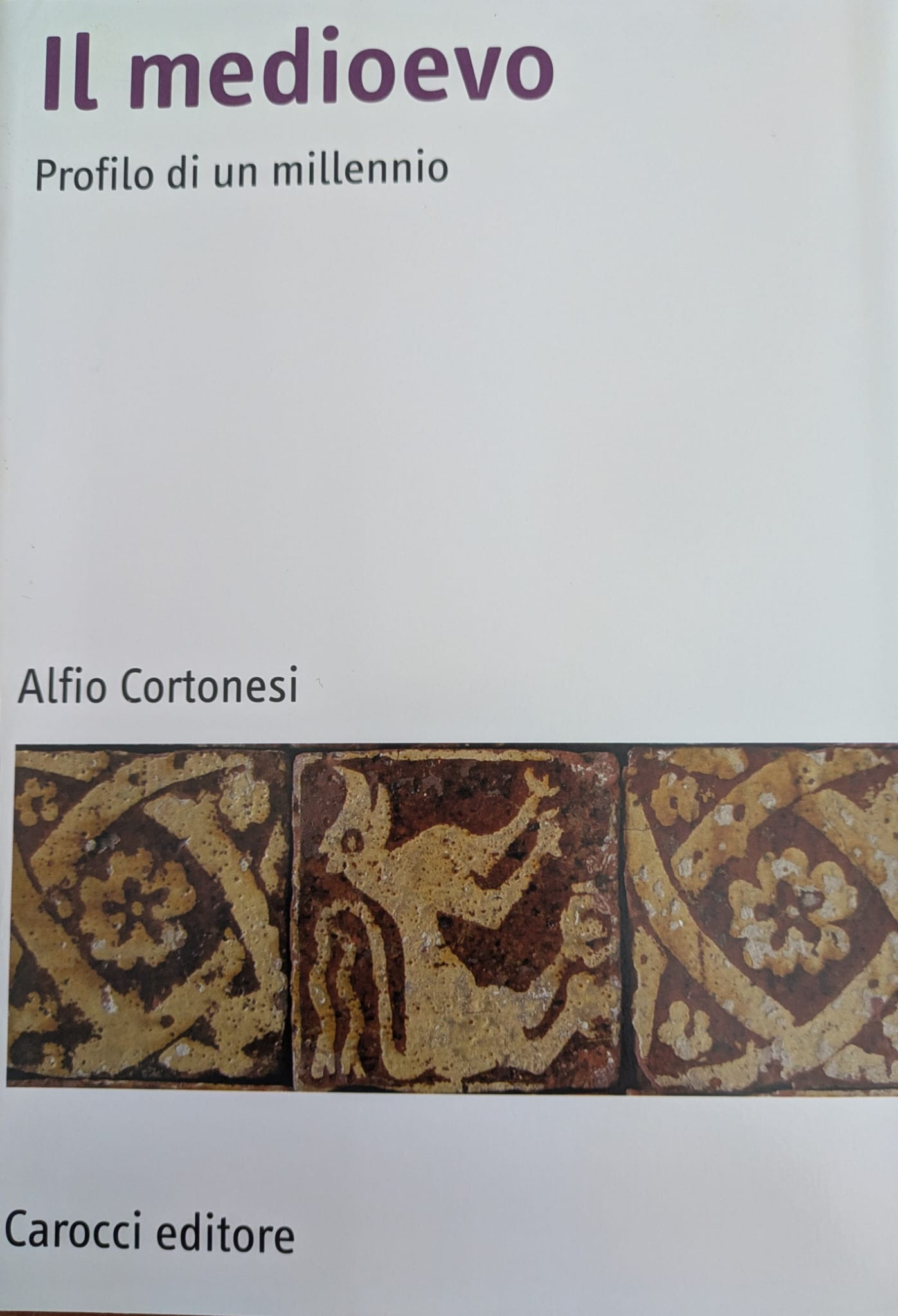 Il medioevo. Profilo di un millennio