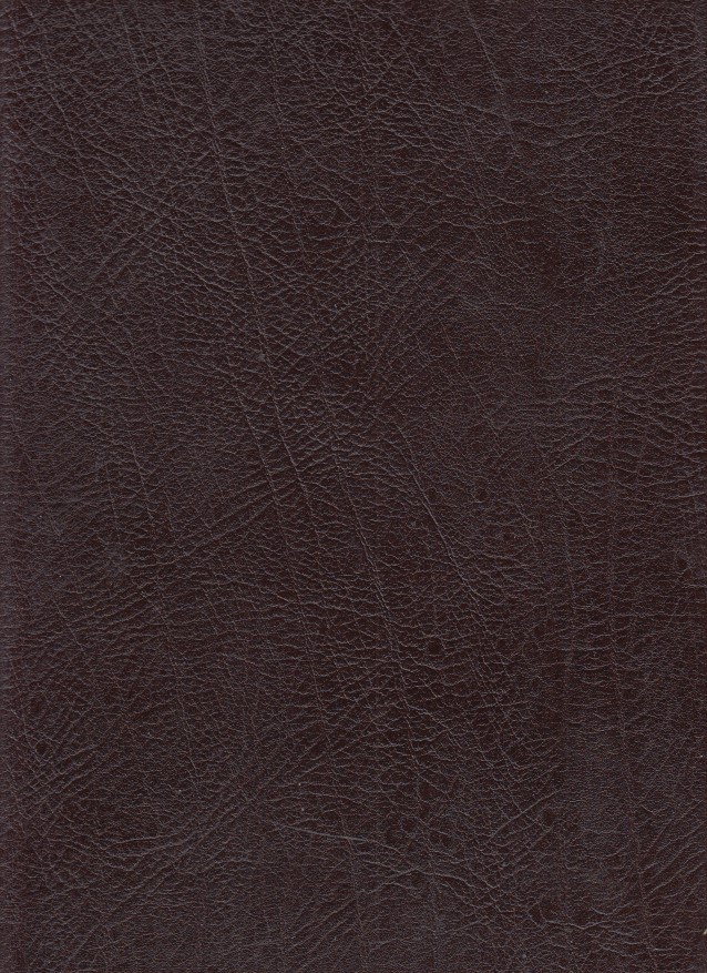 Plutarchus Vitae Parallelae