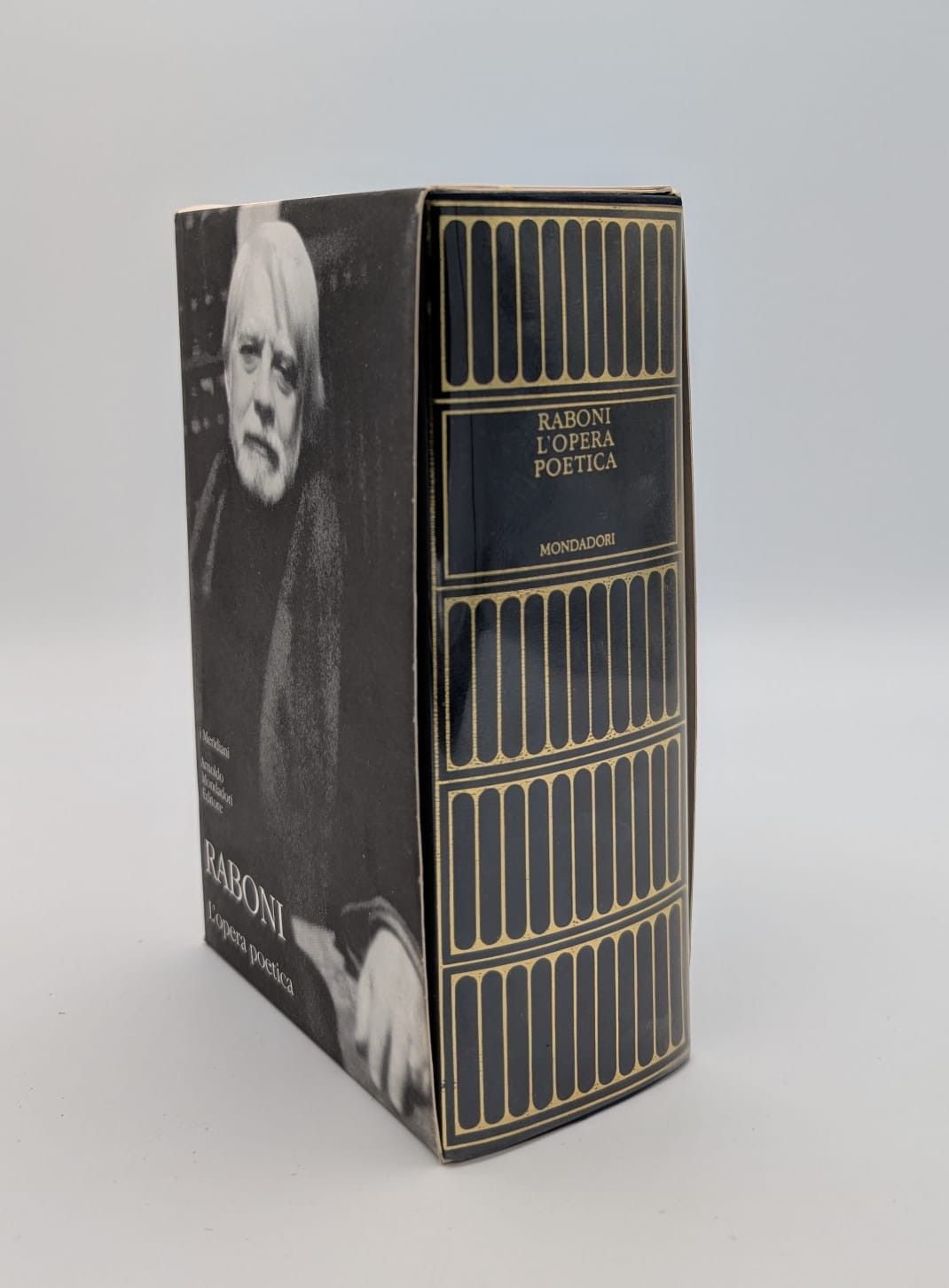 Raboni. L'opera poetica