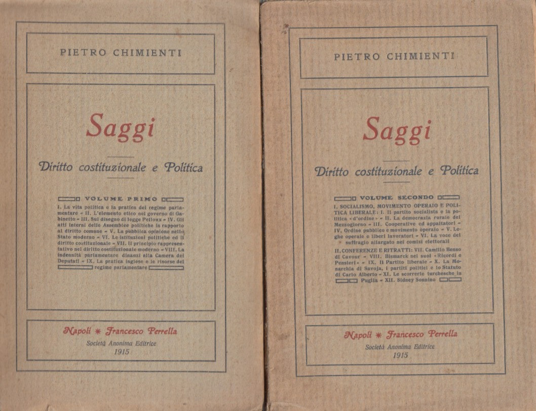 Saggi. Diritto costituzionale e Politica