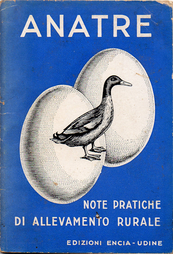 Anatre. Note pratiche di allevamento rurale